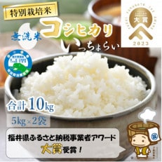 【令和5年産】特別栽培米 「いっちょらい」 福井県産 コシヒカリ 無洗米 5kg×2袋(計10kg)