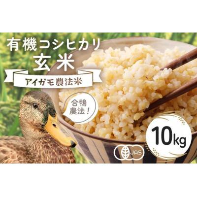 ふるさと納税 石岡市 【令和8年産】有機栽培米 コシヒカリ 玄米 10kg 合鴨農法