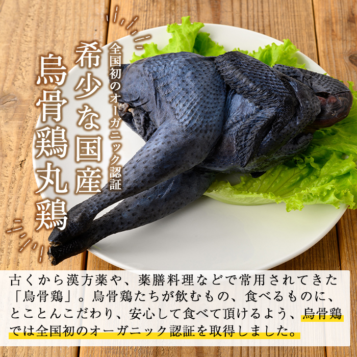 K-333 国産！オーガニック烏骨鶏丸鶏(中抜き)1羽【お多福たまご】霧島市 国産 九州産 鹿児島県産 烏骨鶏 うこっけい 鶏肉 鳥肉 鶏 とり 丸どり 無投薬 ワクチンフリー オーガニックチキン