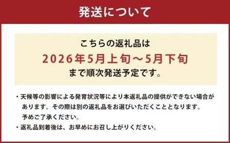 熊本県産 すいか 祭ばやし 7kg以上 スイカ 西瓜 果物 くだもの フルーツ おすすめ ギフト 贈り物 【2026年5月上旬発送開始】