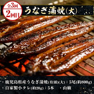 ふるさと納税 いちき串木野市 <3ヶ月定期便>いちき串木野プレミアム定期便(マグロ・鰻・牛肉) |  | 02