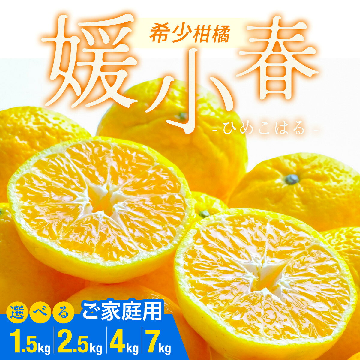 【ふるさと納税】【先行受付】【ご家庭用】媛小春 選べる内容量　(1.5kg / 2.5kg / 4kg / 7kg )　愛媛県 八幡浜市 西宇和地区 希少な幻の柑橘【C25-323】【G1714072】YWTAP264