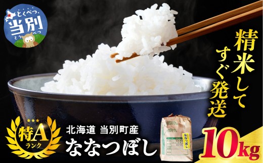 野口農園ななつぼし10kg | お米 北海道産 産地直送 ブランド米 野口農園 国産 精米 白米 米 北海道 当別町