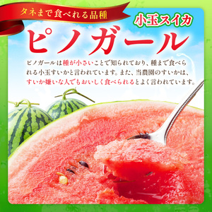 【1246】選び抜いた！小玉すいか ピノガール 2L 2玉《先行予約》2026年6月上旬から順次発送予定【 配送不可地域：北海道・沖縄・離島】