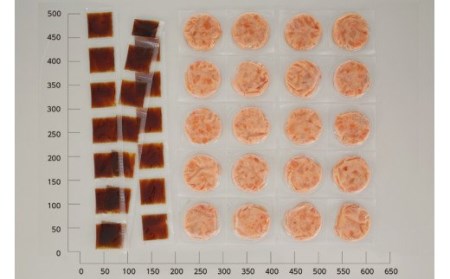 北海道産鮭使用「さけトロ」【40g×20パック（タレ付）】便利な食べきりパック_T012-0530-60DAYS
