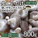 【ふるさと納税】生しいたけ【使いやすいサイズの詰め合わせ】800g Mサイズ(100g×4パック) Lサイズ(200g×2パック) 軸太 肉厚 椎茸 シイタケ 野菜 やさい 故郷 ふるさと 納税 国産 北海道産 北海道 下川町 F4G-0013