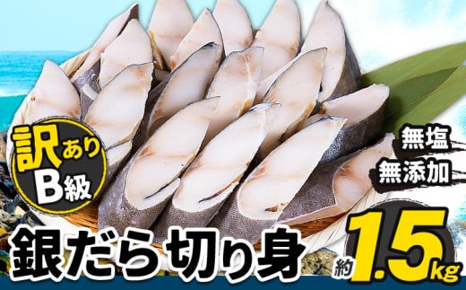 勝浦 B級銀だら 切身(無塩) 約 1.5kg 株式会社西川《90日以内に出荷予定(土日祝除く)》千葉県 勝浦市  銀だら 魚 切り身 無塩 無添加 冷凍 手作り 惣菜【配送不可地域：離島】