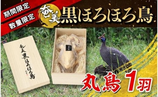 
            ★期間限定・数量限定★奄美 黒ほろほろ鳥 （丸鳥中抜き）
          