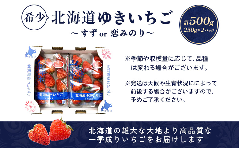 【2027年１月以降発送！】【北海道産】ゆきいちご（すずor恋みのり） ２Pセット 各250g×２ 計500g【59002AA0101】