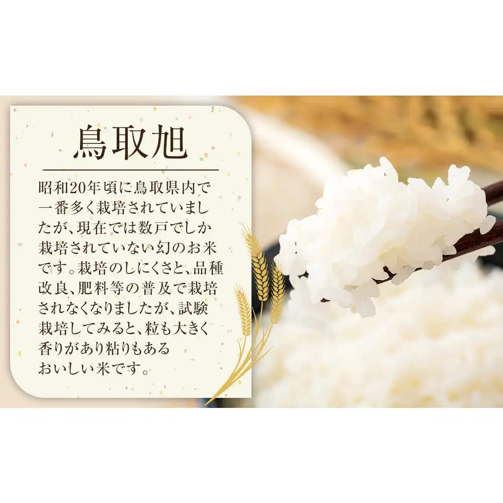 203.日置さん家のお 米 「 鳥取 旭 」5kg×2袋【 無洗米 ・2026年産】 | 無洗米
