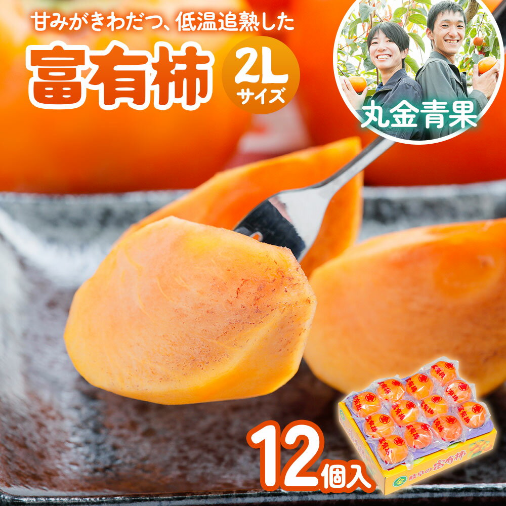 【ふるさと納税】[先行予約] 令和7年産 丸金青果 富有柿 2Lサイズ (12個入) 低温追熟【甘みがきわだつ 低温追熟した富有柿をお届け】12月下旬より順次発送 [0629] [mt100]｜かき 富有柿 フルーツ カキ 果物 くだもの 産地直送 本巣市 16000円