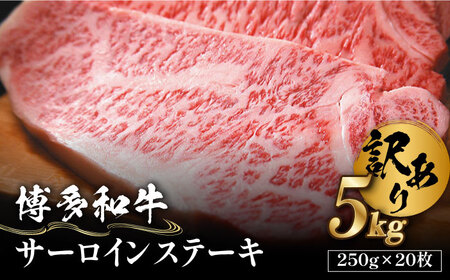 【訳あり】博多和牛 サーロイン ステーキ セット 5kg（250g×20枚） 牛肉 肉 [ABBP065]