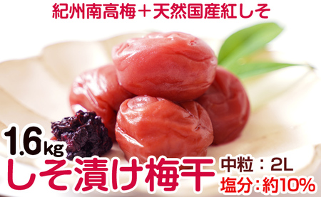 【1126-2】しそ漬け梅干し（紀州南高梅）1.6kg 中粒 2L 和歌山県産