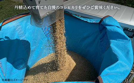 お米 食べ比べセット 10kg（コシヒカリ・きぬむすめ）井原市美星町産(令和8年産)