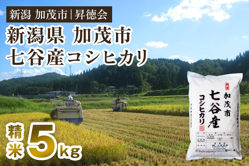 
                  【令和7年産】新潟県加茂市 七谷産コシヒカリ 精米5kg 白米 高柳地域産数量限定 昇徳会
                
