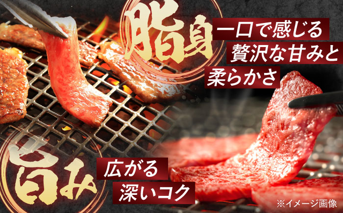 長崎和牛 A5ランク ロース 極厚 焼肉 700g 牛肉 牛 和牛 国産牛 タレ