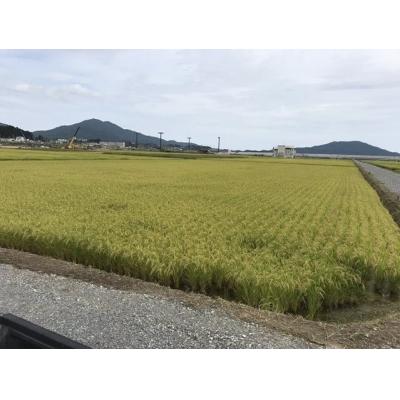 ふるさと納税 陸前高田市 令和7年度産 海の見える農園で作った白米10kg ひとめぼれ |  | 02