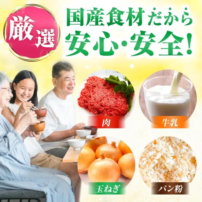12回定期便 黒毛和牛ハンバーグ 140g×10[FBX042]