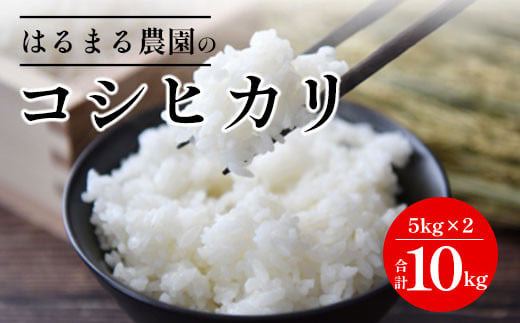【先行予約】令和7年産新米 京都丹波福知山産 はるまる農園のコシヒカリ 5kg×２ 合計10kg ／ ふるさと納税 精米 米 こめ ご飯 ごはん 白米 コシヒカリ こしひかり 特別栽培米 FCCN010