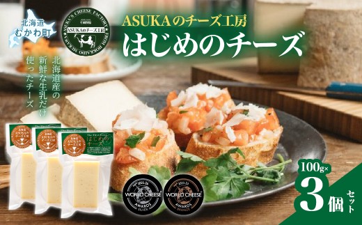はじめのチーズ(100g)3個セット 【ふるさと納税 人気 おすすめ ランキング 北海道産 無添加 チーズ さけるチーズ セミハード 熟成 コク リンド おつまみ お酒 白ワイン ピザ ハンバーグ イタリア ヨーロッパ 北海道 むかわ町 受賞 ギフト お試し バラ 少量 送料無料】 MKWA004