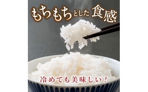 先行予約 ※3ヶ月定期便※ 葛城山麓米 ヒノヒカリ（白米）10kg ×3ヶ月 令和8年産 【2026年11月・12月・1月発送】／ 奈良 葛城 山麓米 産地直送 米 お米 新米 こめ 国産 甘い 美味