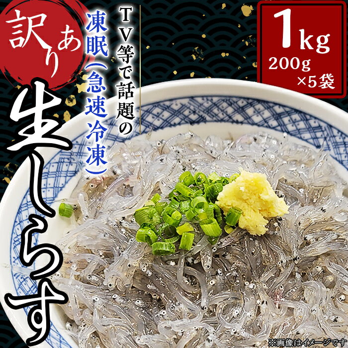 【ふるさと納税】【訳あり】生しらす1kg【TV等で話題の凍眠（急速冷凍）】訳あり 不揃い 生しらす 1kg しらす 刺身 冷凍 真空パック 国産 凍眠