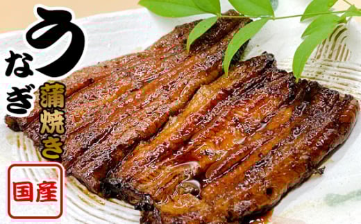 国産鰻　蒲焼き（1人前） ／ うなぎ ウナギ 茨城県 No.183