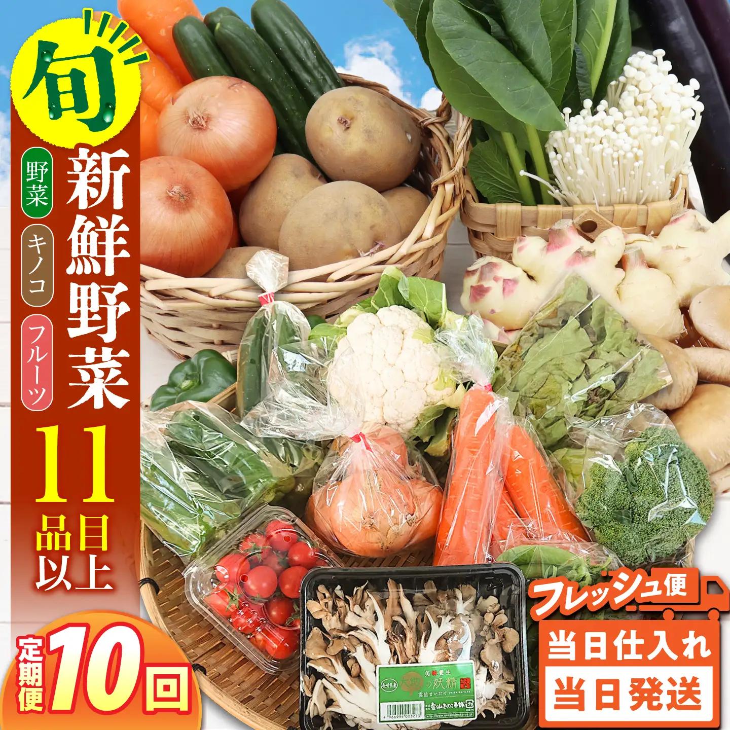 【毎月コース】野菜 キノコ 果物 11品目 詰め合わせ 10回 定期便  / 南島原市 / 吉岡青果[SCZ036]
