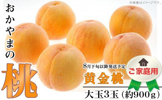 
            【ご家庭用】おかやまの「黄金桃」 大玉3玉（約900g）【26年8月下旬以降に順次発送】
          