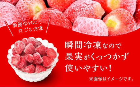 いちご 福岡県産 約500g×2袋 合計約1kg [ABDG005] 果物 あまおう