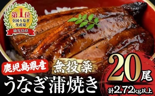 2122 【土用の丑の日対応7/7入金まで】【無投薬にこだわったうなぎ】鹿児島県産うなぎ蒲焼20尾【国産】