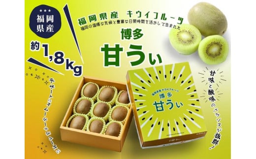 博多「甘うい」の贅沢果実 約1.8kg