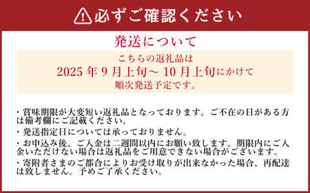 《先行予約》 「山之上果実農業協同組合」 山之上の梨 二十世紀 1箱 約2.5kg 【2025年9月上旬-10月上旬 発送予定】