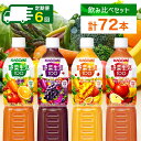 【ふるさと納税】 【定期便】 2ヵ月毎 全6回 カゴメ 野菜生活100 飲み比べセット スマートPET 720ml 4種 計12本 栃木県 那須塩原市 オリジナル ベリーサラダ マンゴーサラダ アップルサラダ 野菜 果実 ミックスジュース 野菜ジュース フルーツジュース 飲料 送料無料