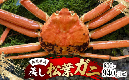 【先行予約】【蒸し】タグ付き松葉ガニ　大　1枚(800～940g前後)　※11月中旬から順次発送【配送不可地域：離島・北海道・沖縄県】【1596442】