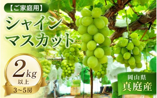 【2026年先行予約】＜ご家庭用＞岡山県産 シャインマスカット ２kg以上 (3~5房)【fsfm002-02】