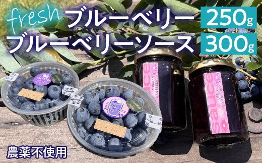 ＜2027年発送先行予約＞南アルプス市産【農薬不使用】フレッシュブルーベリー250g+当ファーム自家製フレッシュソース2瓶SET ALPBL003