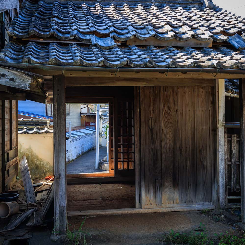 松尾地区 集落歩きツアー 1人分 観光 地元ガイド付き チケット アコウ 松尾天満宮 足摺半島 家族旅行 旅行 国内旅行 自然 神社 文化 徒歩 高知県 高知 土佐清水市【R01504】