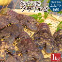 【ふるさと納税】先行予約　幻の天然ゾウリエビ1kg（サイズおまかせ）※着日指定不可※タビエビ 甲殻類 海老 地元ですら流通しない希少セミエビ科 高知県産 エビ ゾウリエビ 冷蔵 配送 賞味期限が短い 新鮮 美味しい 希少 故郷納税 返礼品 土佐清水市 高知【R00620】