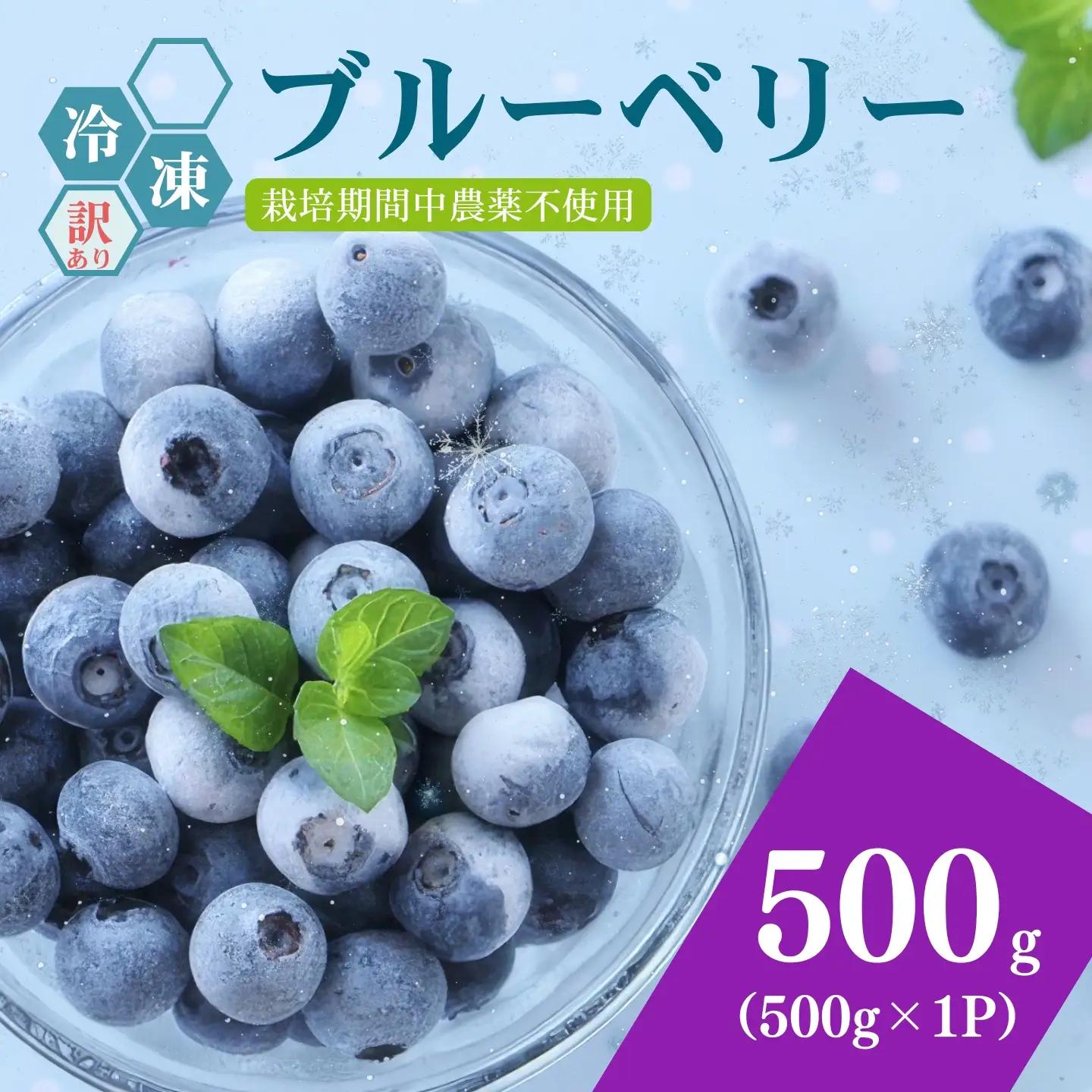 [A562-01]【訳あり】冷凍ブルーベリー500ｇ（500g×1パック）2026年シルクファーム産