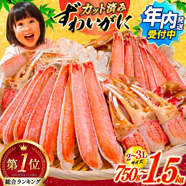 【ふるさと納税】 年内発送受付 訳あり 選べる内容量 発送月 カット済み 生 ずわいがに むき身 セット 総重量750g/1.5kg (正味重量600g/1.2kg) 2-3Lサイズ [カネダイ 宮城県 気仙沼市 20566347] かに カニ 年内 月指定発送 12月着
