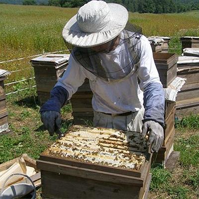 ふるさと納税 横瀬町 はちみつ2本セット「そばの花 蜂蜜」「百花」 |  | 02