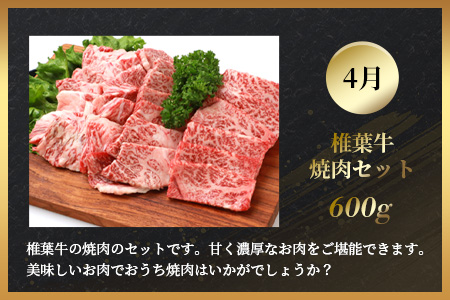 【定期便4回】総重量2.4kg！椎葉牛 大自然の中で味わう焼肉・BBQ定期便≪焼き肉・ステーキ・切り落とし・ローストビーフ≫【A5等級指定 黒毛和牛】【日本三大秘境 椎葉村 育ちの黒毛和牛】