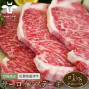 【ふるさと納税】【牧場直送】佐賀牛 サーロインステーキ 1kg（約200g×5枚）【有限会社佐賀セントラル牧場】黒毛和牛 肉 お肉 牛肉 サーロイン リブロース 霜降り 冷凍 [IAH073]