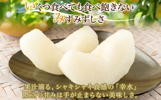 梨2kg 幸水 4～6玉