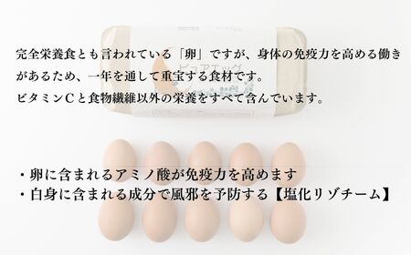 【定期便】やさしい甘みあふれる卵『ピュア・エッグ』30個×３か月お届け コクがあるのにフルーティーな甘さ