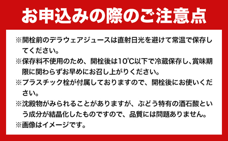 贅沢な濃い搾り デラウェアジュース 720ml × 2本 優樹農園《90日以内に出荷予定(土日祝除く)》大阪府 羽曳野市 デラウェア ジュース 葡萄 ｜ぶどうぶどうぶどうぶどうぶどうぶどうぶどうぶどう