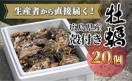牡蠣　殻付き　２０個（3月限定）