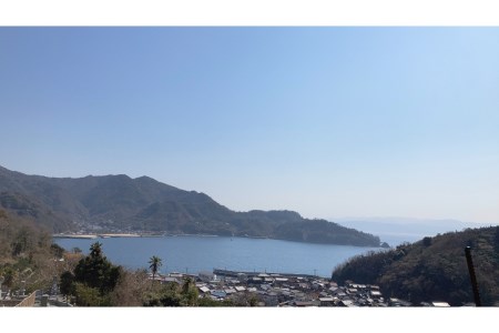 アイス まるっとレモン アイス 8個 デザート 瀬戸内 広島 
