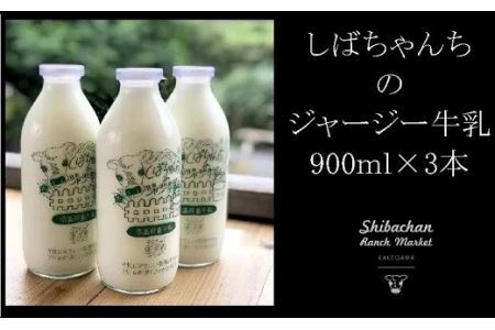 しばちゃんちのジャージー牛乳 900ml × 3本 セット 柴田牧場 6169